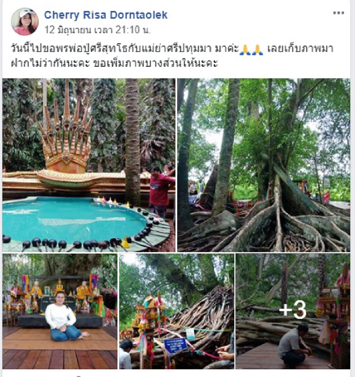 ปู่ศรีสุทโธ-แม่ย่าศรีปทุมมา ให้โชค !! "ต้นมะเดื่อยักษ์" กลางป่าคำชะโนด โผล่เลขเด็ด 2 ตัว คอหวยแห่ส่อง เตรียมรับทรัพย์ใหญ่ !!