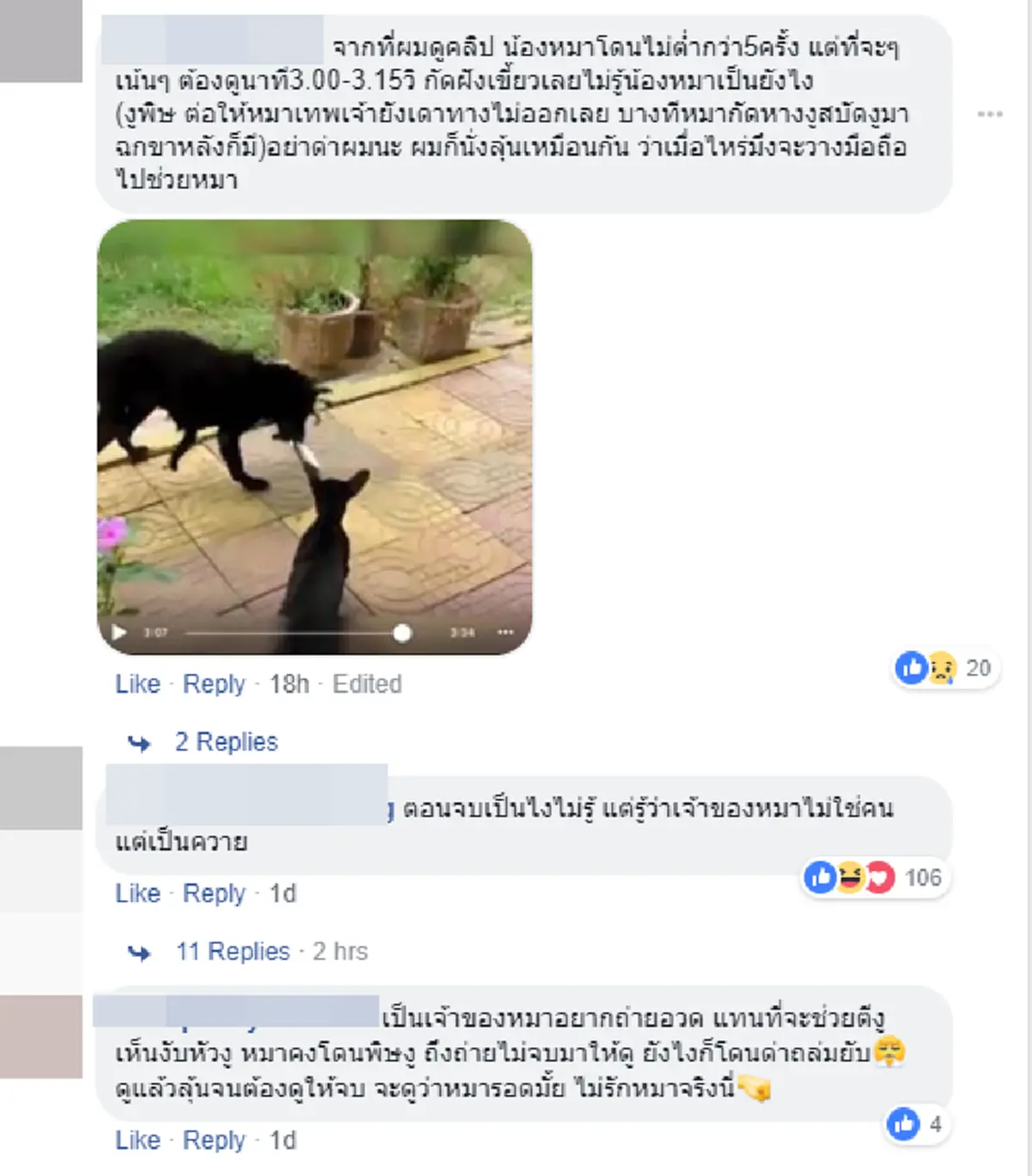 เจ้าหมาเฝ้าบ้าน ปะทะเดือด งูเห่า ทำไมเจ้าของไม่ช่วย คุณไม่รักหมาตัวเองหรือไง