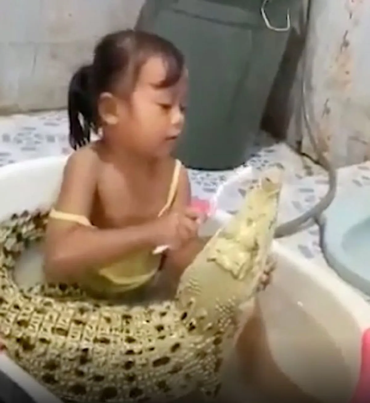 หนูน้อยวัย 3 ขวบกินนอนอยู่กับ ‘จระเข้’ แถมโชว์มุ้งมิ้งด้วยการแปรงฟันมันให้ดู(คลิป)