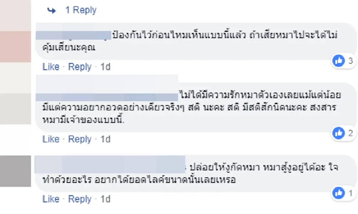 เจ้าหมาเฝ้าบ้าน ปะทะเดือด งูเห่า ทำไมเจ้าของไม่ช่วย คุณไม่รักหมาตัวเองหรือไง