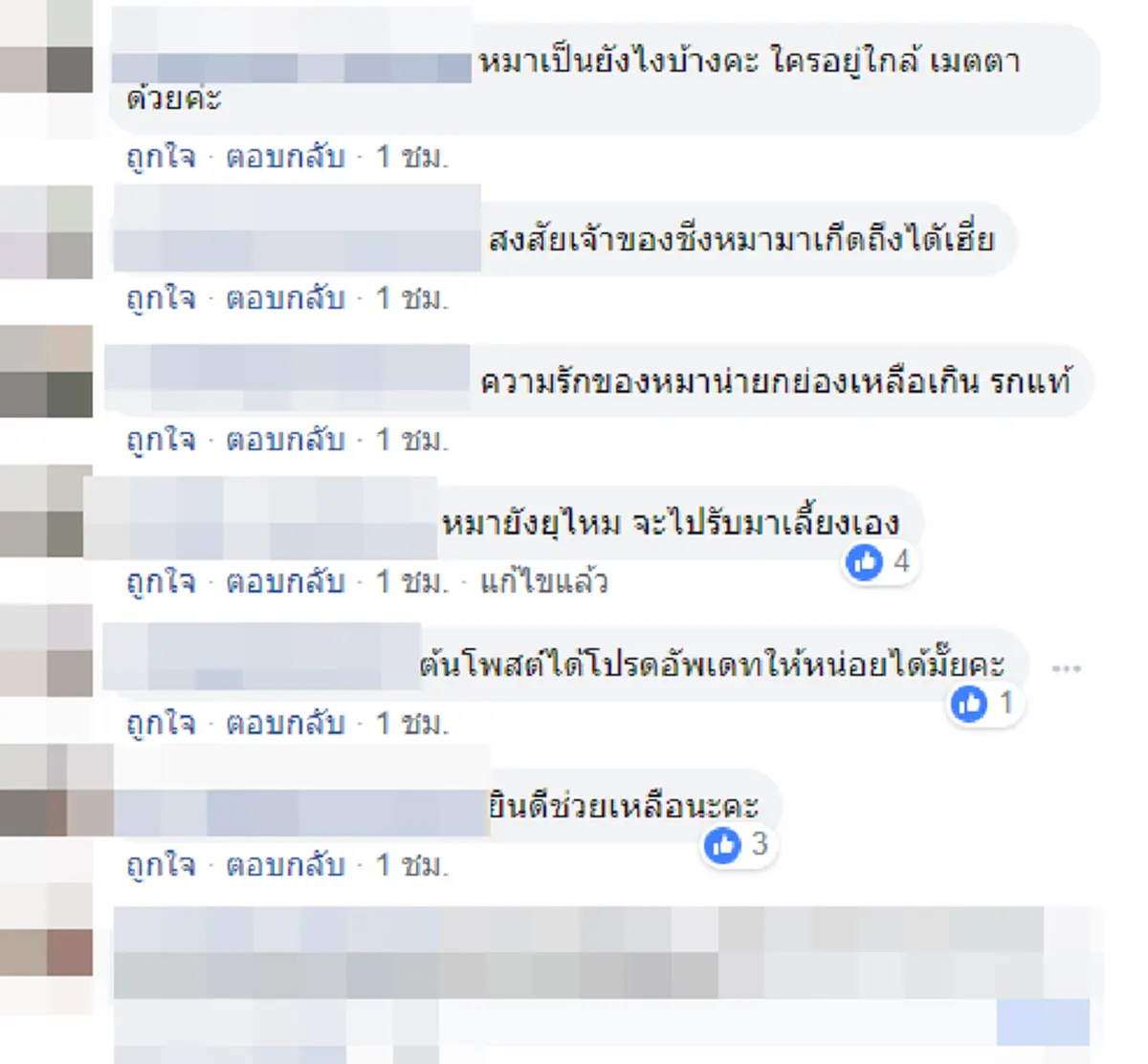 เจ้าของกระบะนำสุนัขปล่อยทิ้งกลางทาง ตูบแสนซื่อวิ่งตามจนแทบหมดแรง (คลิป)