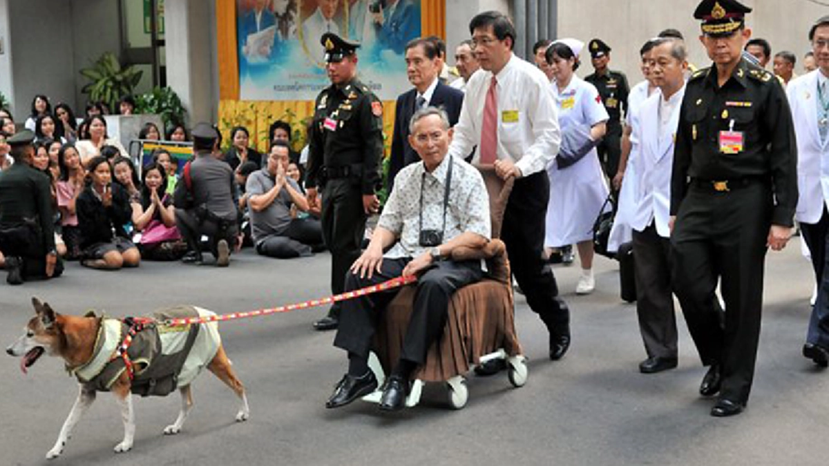 ราชองรักษ์ในพระราชหฤทัย!! ยามประชวรก็ทรงวางพระองค์ดั่งคนไข้ทั่วไปเสมอ แม้ทรงคิดถึงคุณทองแดงมากก็ยังรอตรัสถามทาง รพ.ก่อน #น้ำตาไม่เคยหยุดไหล
