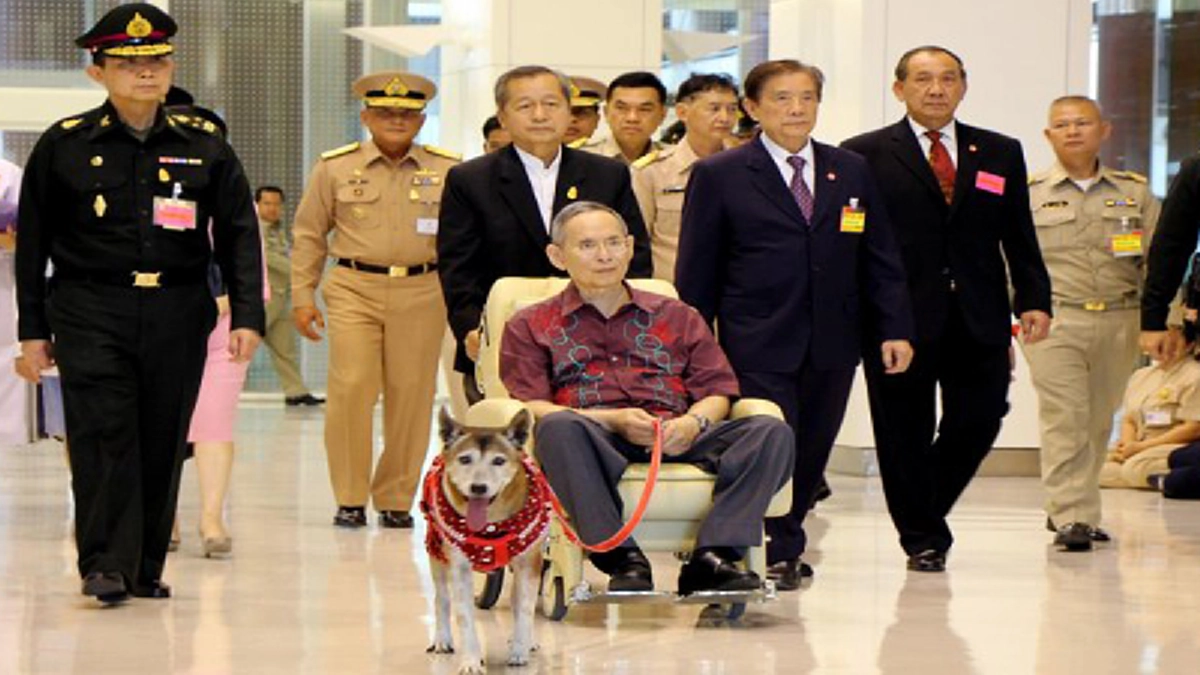 ราชองรักษ์ในพระราชหฤทัย!! ยามประชวรก็ทรงวางพระองค์ดั่งคนไข้ทั่วไปเสมอ แม้ทรงคิดถึงคุณทองแดงมากก็ยังรอตรัสถามทาง รพ.ก่อน #น้ำตาไม่เคยหยุดไหล