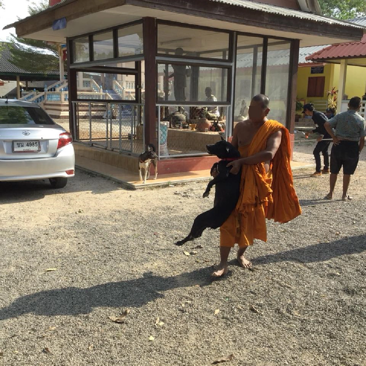 ไร้เมตตา...สลดกันทั้งวัดเพียงเพราะว่าอำนาจ "วัดของกู"นี่มันพระจริงๆหรอ (คลิป)
