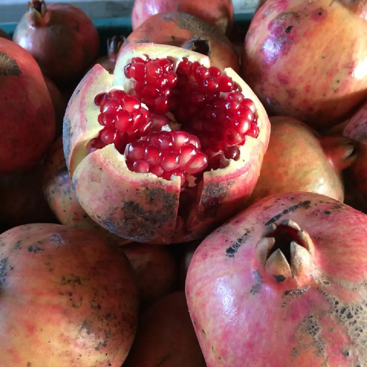 เผย 24 ประโยชน์ ของทับทิม ผลไม้ยอดนิยม อุดมไปด้วยประโยชน์