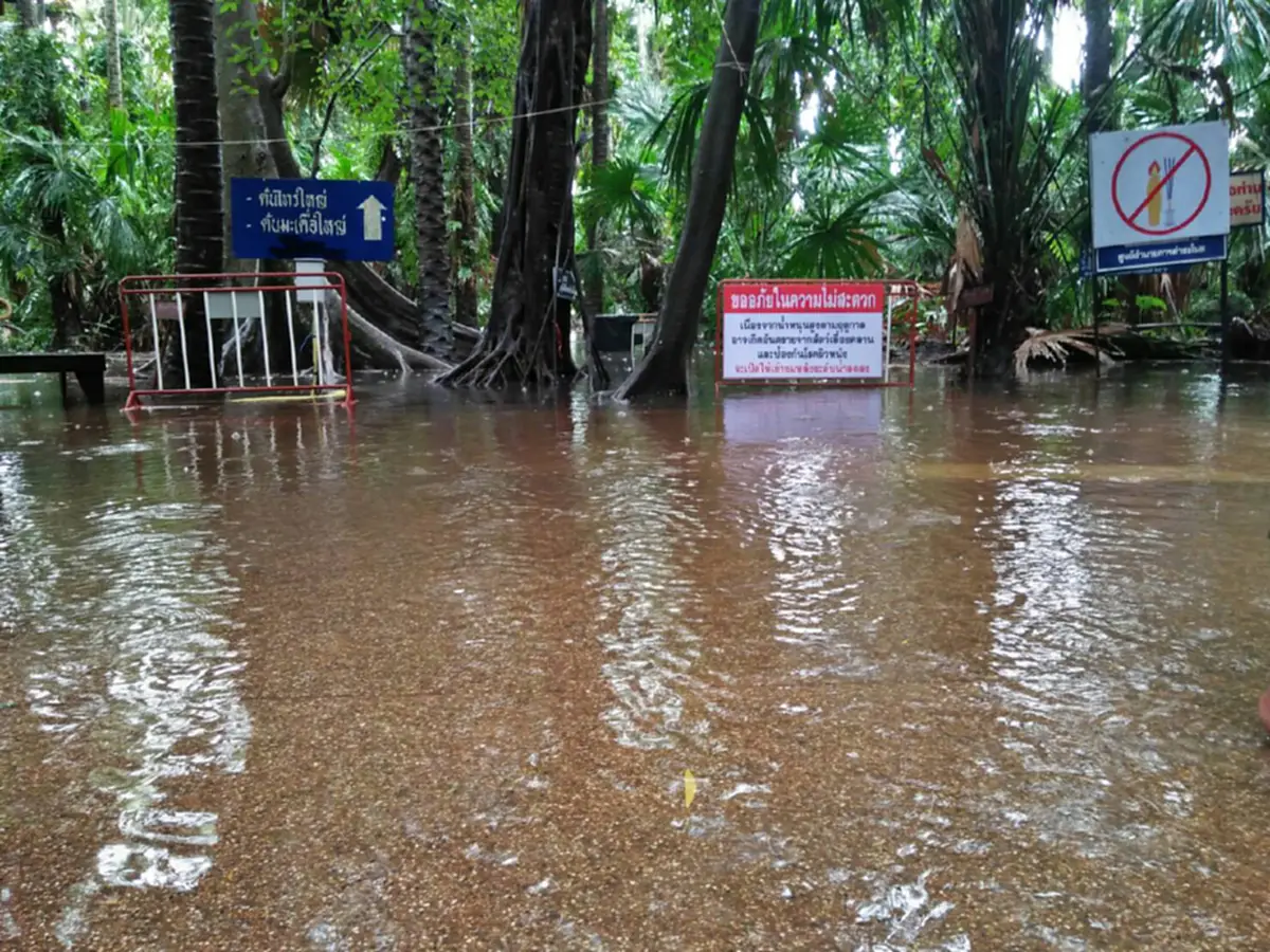 ปิดวัดป่าคำชะโนด!! แจ้งปิดวัดป่าคำชะโนด เนื่องจากปริมาณน้ำสูงขึ้นต่อเนื่อง ทำคอหวยซึม รอเก้อ