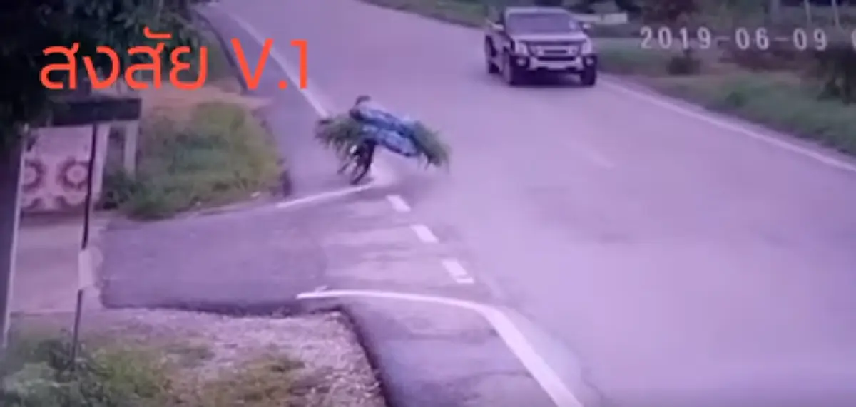 ลุงขี่จักรยาน บรรทุกหญ้าไปให้วัวกิน จู่ๆรถล้ม (คลิป)