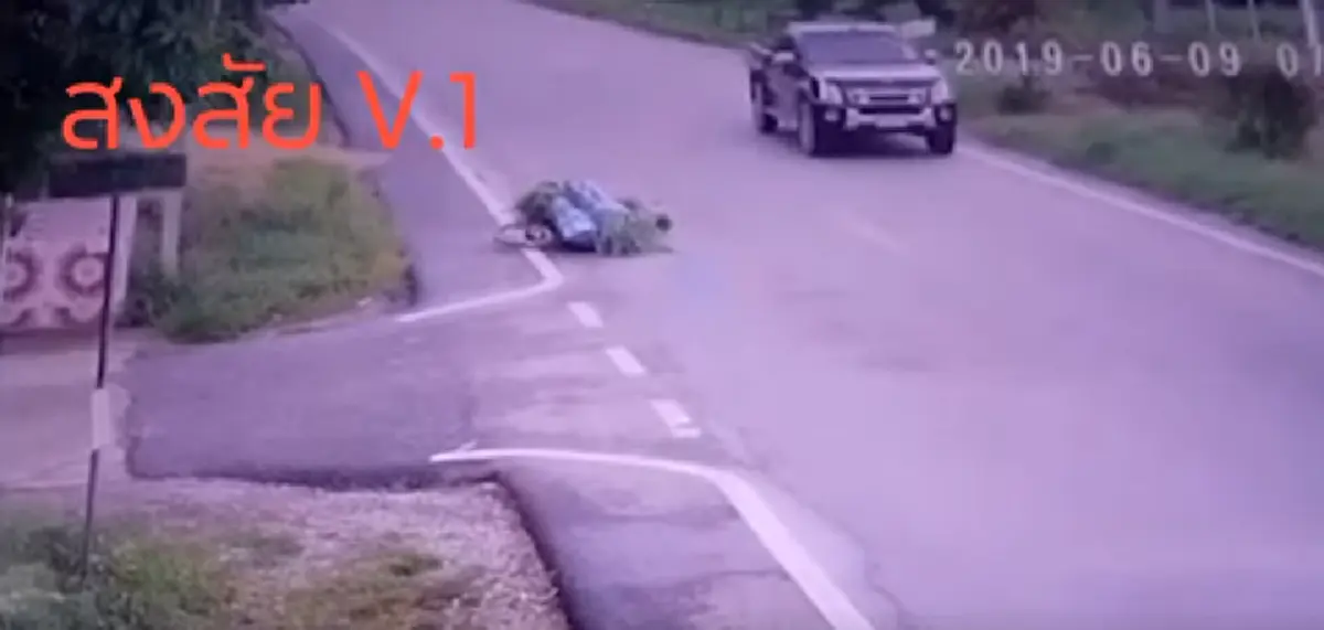 ลุงขี่จักรยาน บรรทุกหญ้าไปให้วัวกิน จู่ๆรถล้ม (คลิป)