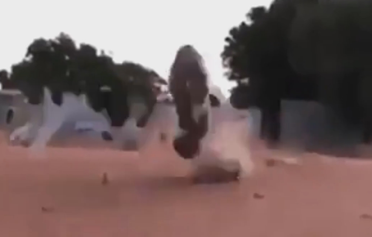 ถึงกับสตั้นไป 3 วิ!! "น้องเเมว" กำลังเดินอยู่ดีดี จู่ๆแมวอีกตัววิ่งมาชนกระเด็น งานนี้มีเอาคืนแน่ๆ!! (ชมคลิป)