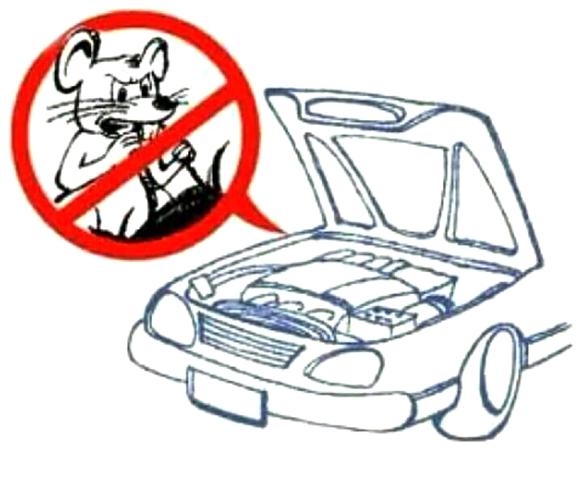 เคล็ดลับสุดยอด "การกำจัดหนู"ที่เข้ามากัดสายไฟในกระโปรงรถยนต์จนขาด ด้วยวิธีง่ายๆ ได้ผลชัวร์ 100% รีบแชร์เก็บไว้ใช้ด่วน