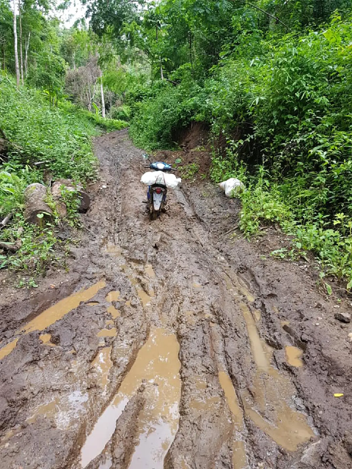 รถขึ้นไม่ไหวก็ต้องแบก!! อาหารกลางวันของเด็กๆ จะลำบากแค่ไหนถ้าใจสู้ ...ขอกราบหัวใจครูบ้านนอก ขอบคุณความเสียสละที่ยิ่งใหญ่!