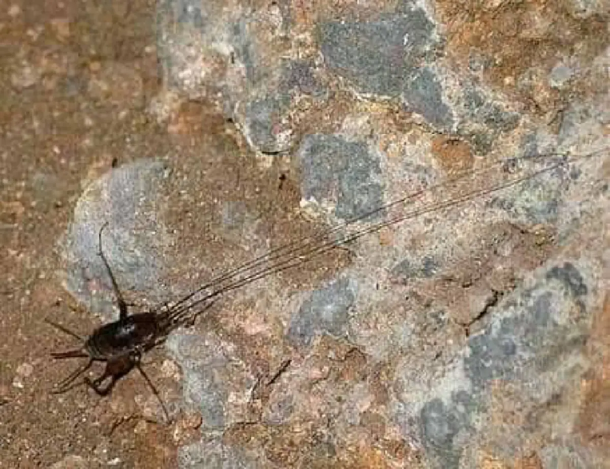 เปิดภาพ !! "พัทยาบีช" ใน "ถ้ำหลวง" ที่คาดว่าทั้ง 13 ชีวิตอยู่ที่นั่น !! (ชมภาพ)