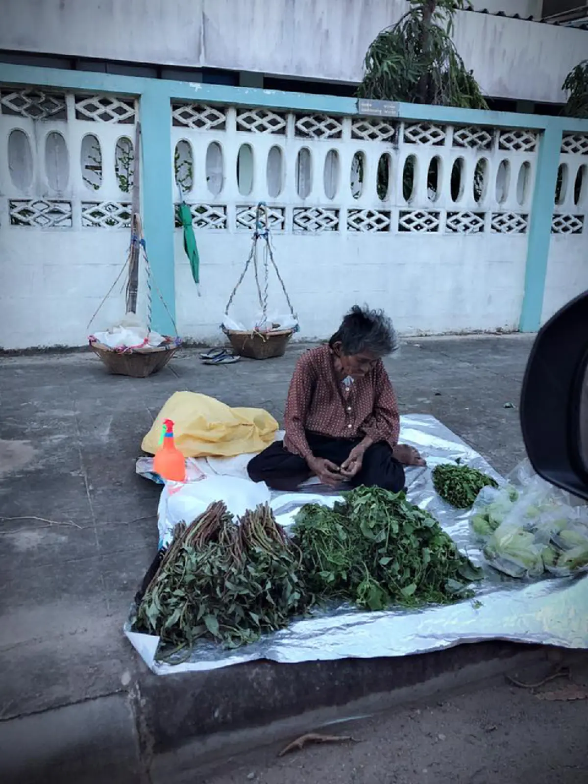 เพราะชีวิตต้องสู้ !?! "ยาย70สู้ชีวิต"เดินไม่ไหวหาเก็บผักมานั่งขาย ..หากขายหมดต้องรับจ้างถางหญ้าต่อ (มีคลิป)