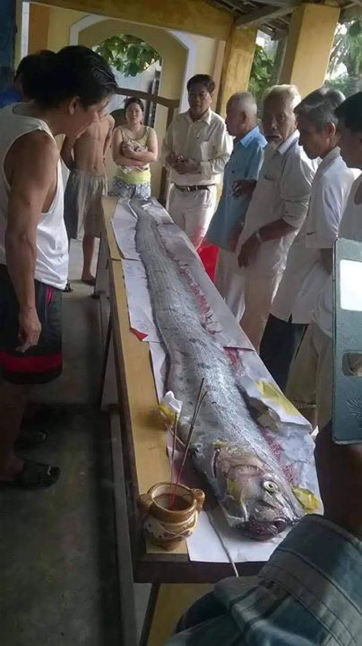 เป็นมงคลแก่ผู้พบเห็น!! ชาวบ้าน พบสัตว์คล้าย "พญานาค" เกยตื้น ยกมือสาธุ งวดนี้ขอให้ร่ำรวย (คลิป)