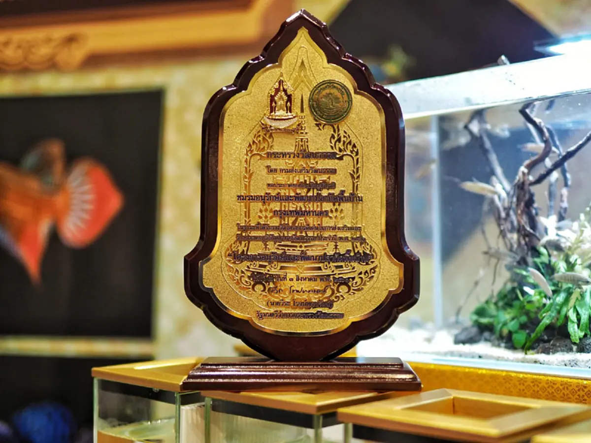 โซเชียลแซะ ท่านรองนายกฯ วิษณุ อย่ายิ้มเจื่อนๆ รับมอบปลากัดจำลอง