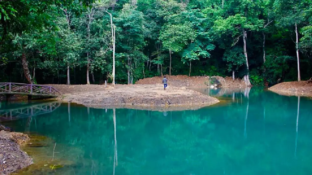 สวยงาม อัศจรรย์ เปิดคลิปมุมสูง ลำธารน้ำสีเขียวมรกต บริเวณถ้ำหลวง เชียงราย (คลิป)