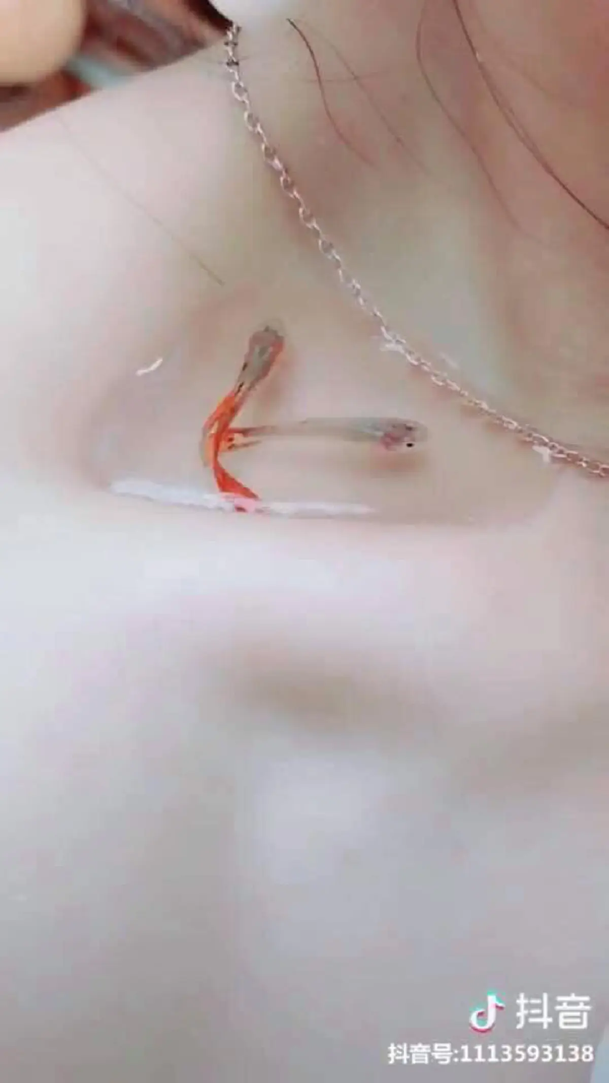 เทรนด์สาวจีน จับปลาไปว่ายในไหปลาร้า พิสูจน์ความผอม (คลิป)