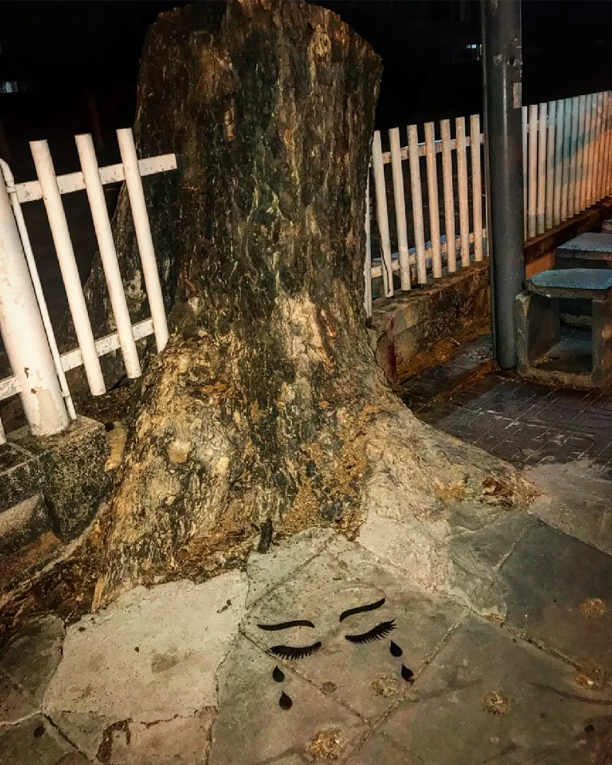 กระแทกใจ ศิลปินกราฟฟิกตี้ แต่งกลอนพ่นภาพศิลป์อาลัย"ต้นจามจุรี" อายุกว่า 50 ปี ถูกโค่นทิ้ง แก้ปัญหารากกระทบตึกอาคาร