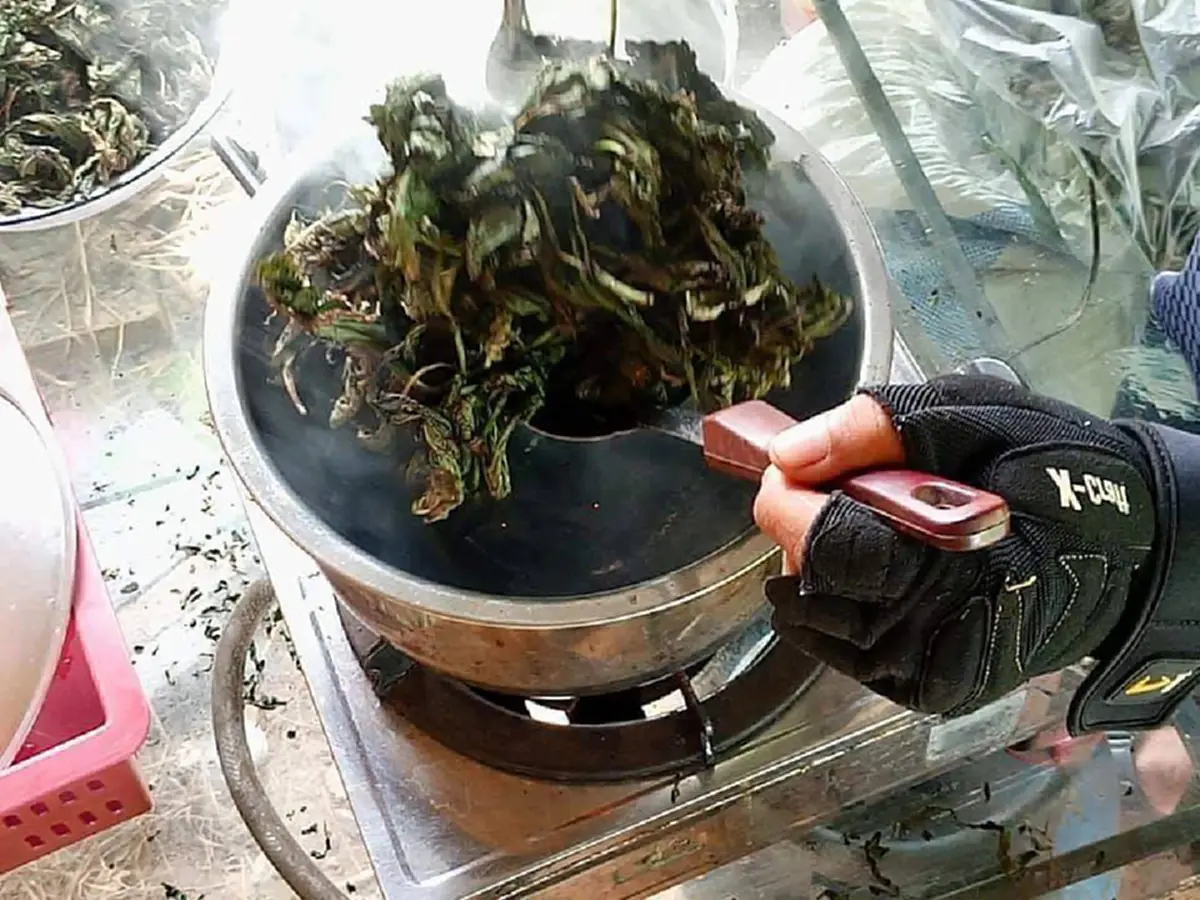 หนานเฉาเหว่ย 1