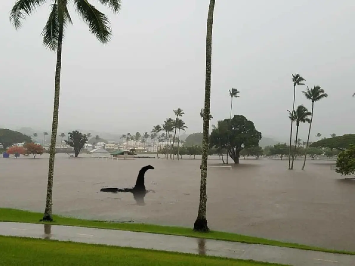 เฮอริเคน ถล่มฮาวาย ทรัมป์ได้รับการอนุมัติให้ประกาศภาวะฉุกเฉิน (รวมคลิป)