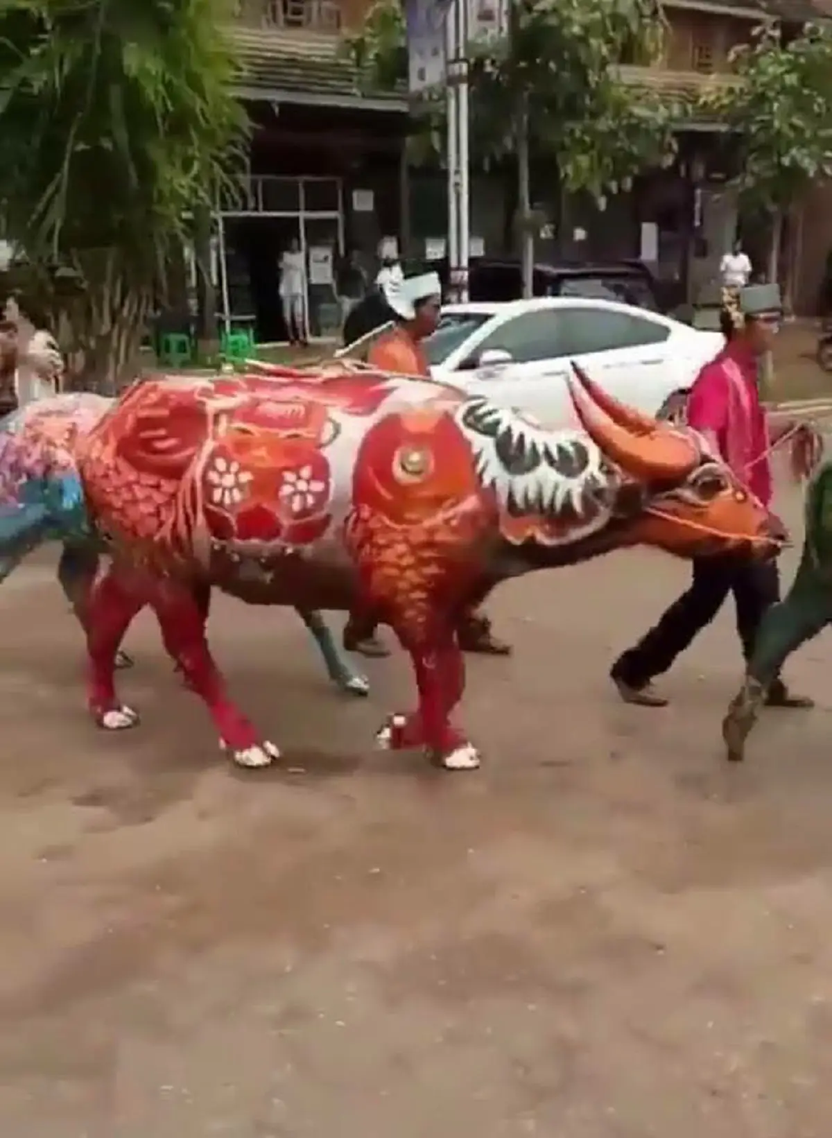 รู้จัก เทศกาล "ระบายสีควาย" จัดเป็นประจำทุกปีช่วงเทศกาลปีใหม่ในจีน (คลิป)