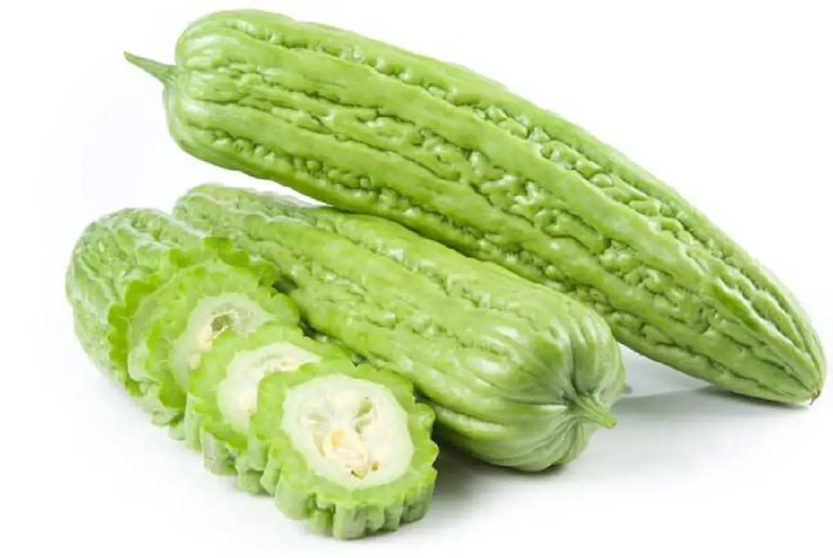 อย่ามองข้าม!!! "มะระ" ผักพื้นบ้าน เกิดมาเพื่อฆ่าเบาหวาน..ต้านมะเร็งเต้านม!! ของดีที่คนโบราณขนานนาม