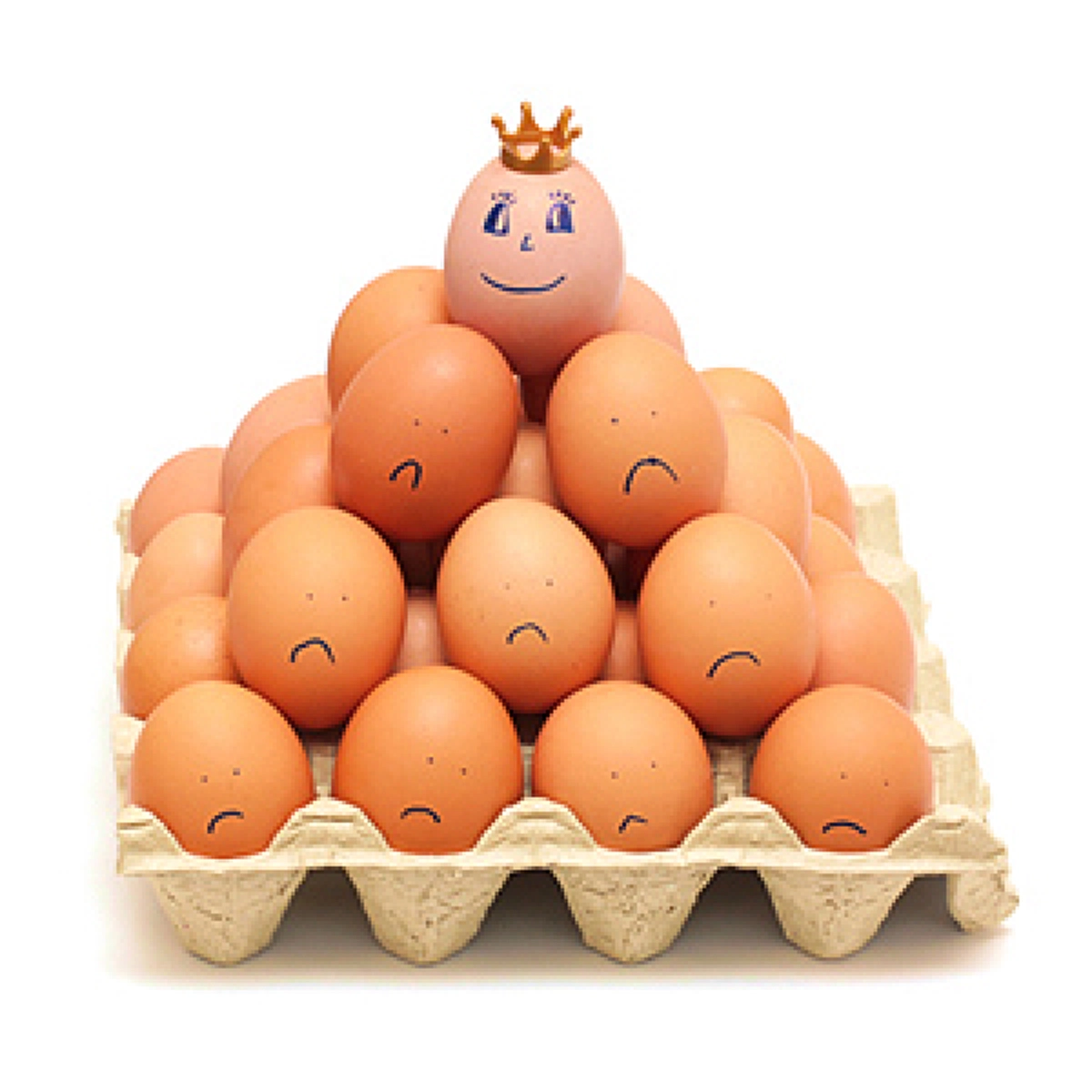 เฉลยจร้า ปัญหาโลกแตก ระหว่างไก่กับไข่อะไรเกิดก่อนกัน