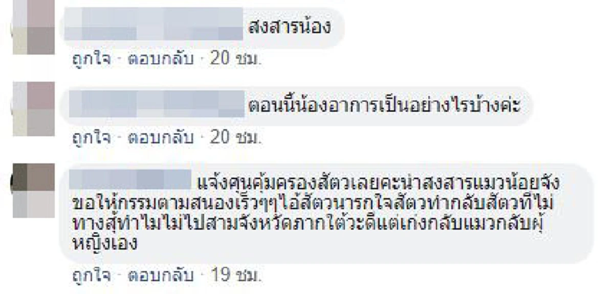 นี่หรือจิตใจมนุษย์ ทะเลาะกันหาที่ลงไม่ได้เตะลูกแมวจรอายุ1เดือนอาการสาหัส!