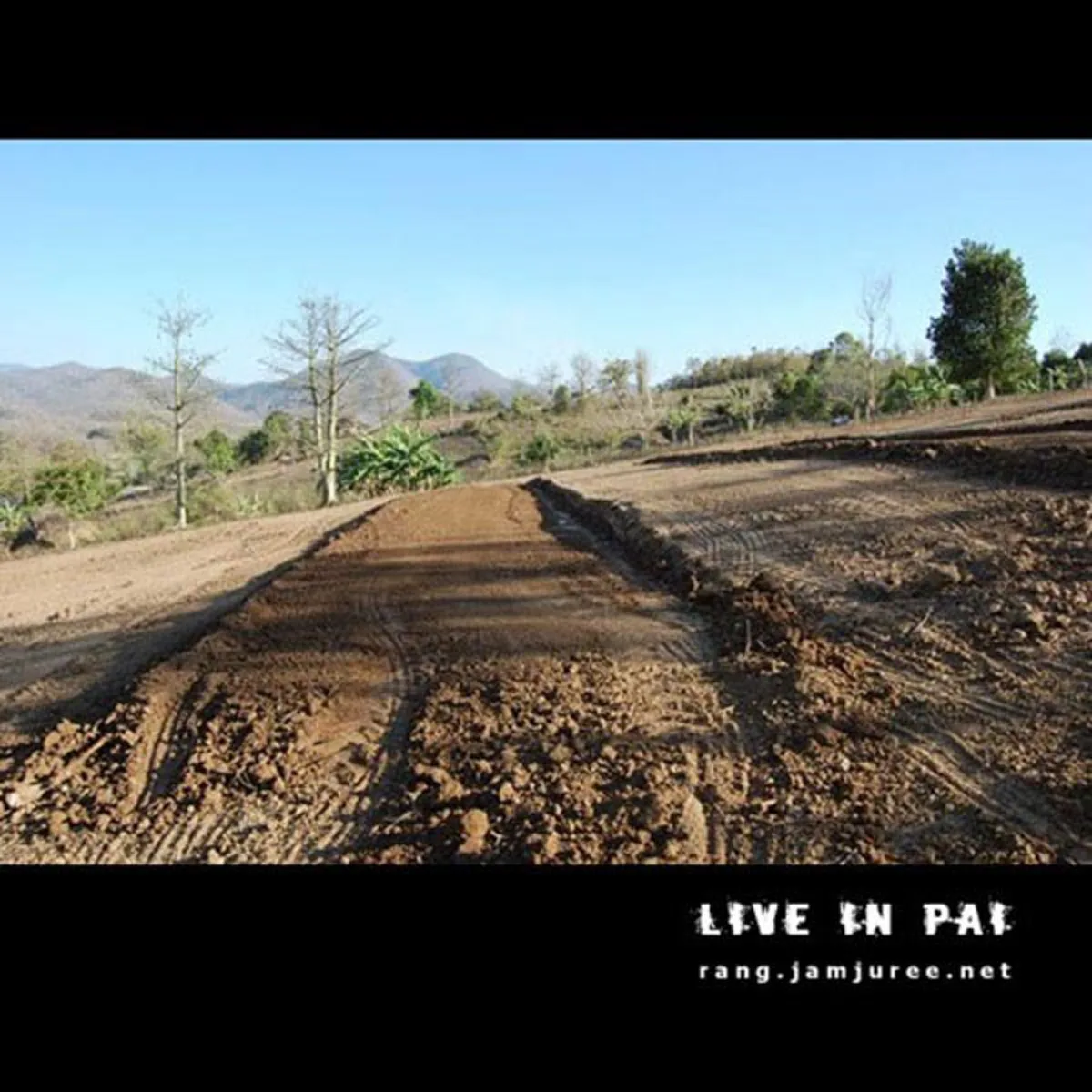 ไอเดียโคตรบรรเจิด!!สามคนพี่น้อง ช่วยกันสร้างกระท่อมไม้ไผ่ไว้อยู่เองหลังเล็กๆ แต่แข็งแรง อยู่ได้ถาวร..พอได้เห็นข้างในแทบตาค้าง มันสุดยอดจริงๆ