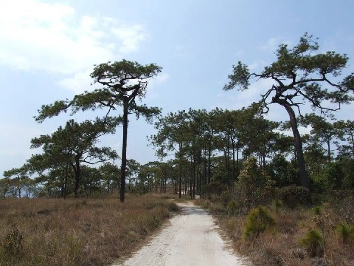 อะไรคือ..มิติซ้อนมิติ?!!  ภูกระดึง  ดินแดนศักดิ์สิทธิ์ กับที่มาแห่งเสียงระฆังลึกลับบนยอดภู เชื่อ!! ต้นกำเนิดหมู่บ้านเมืองลับแล!!