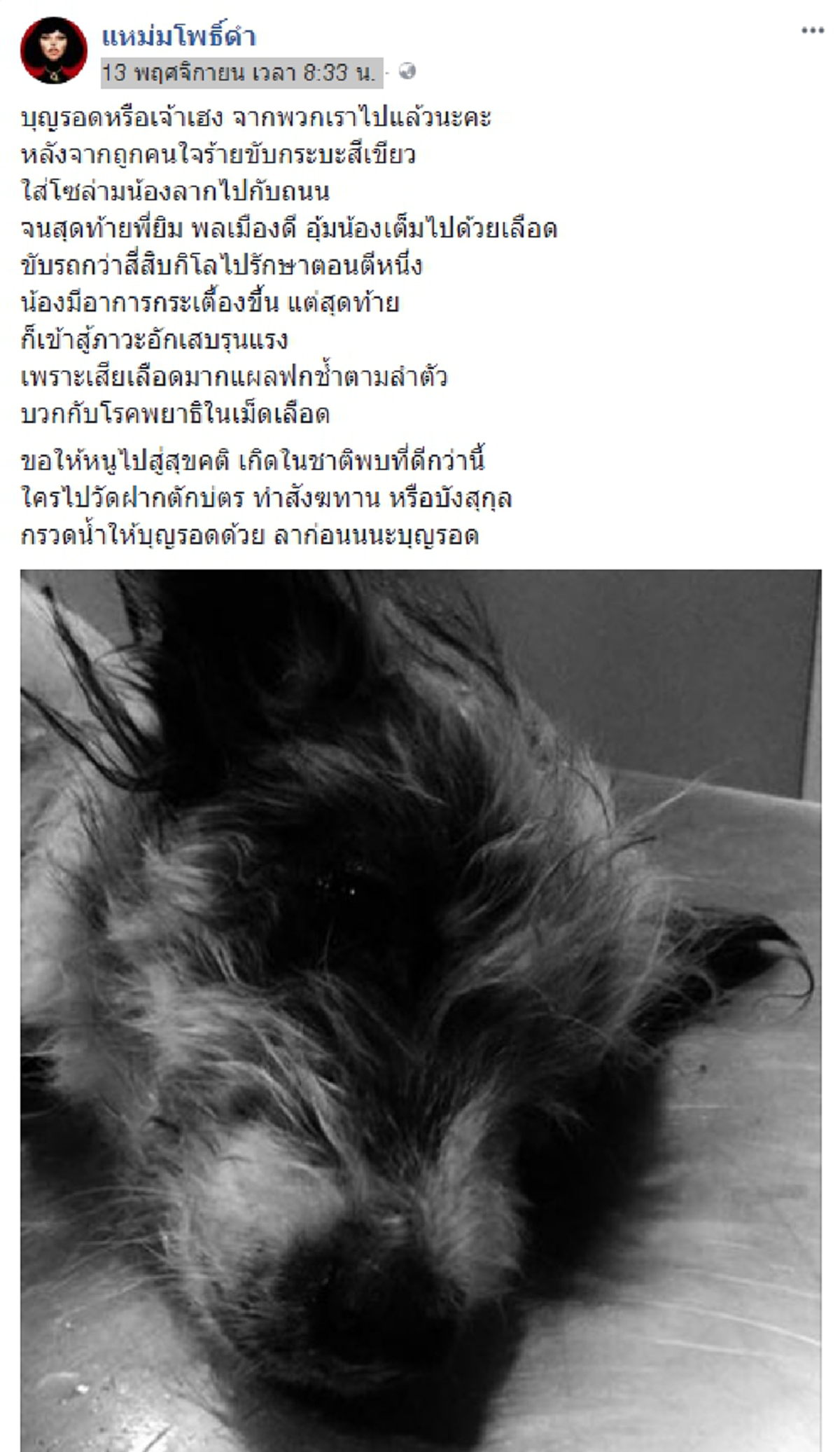 "แหม่มโพธิ์ดำ" ประกาศตามล่าตัวฆาตกรใจเหี้ยม จับสุนัขล่ามโซ่กับรถกระบะลากบนถนนจนเสียชีวิต รางวัลนำจับ 10,000 บาท