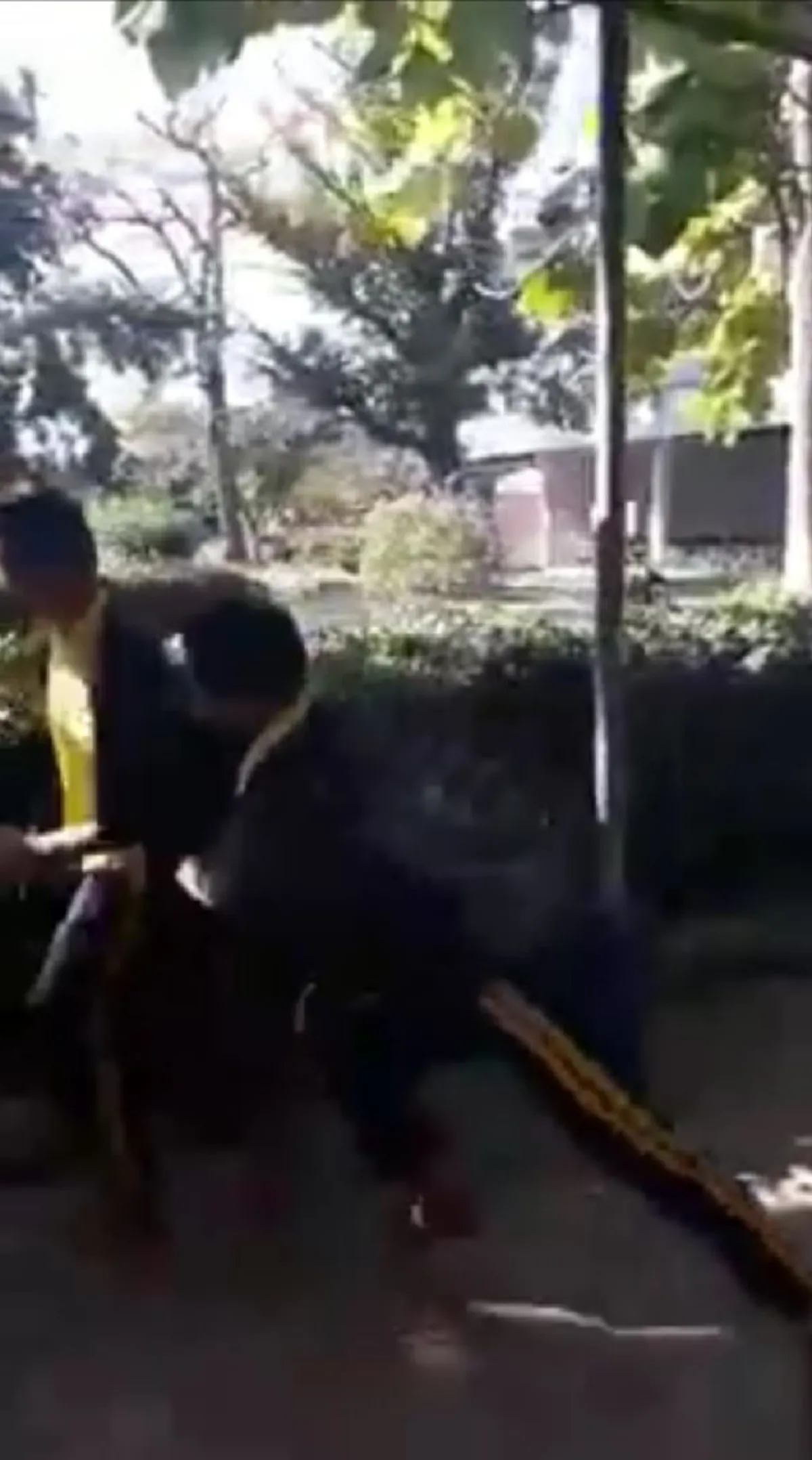 เคยเห็นต้นไม้กินคนมั้ย!? สองหนุ่มน้อย เดินอยู่ดีๆ พบ! ต้นไม้กินคน!? เล่นเอาเข่าทรุด ล้มทั้งยืน ตั้งตัวแทบไม่ทัน (คลิป)