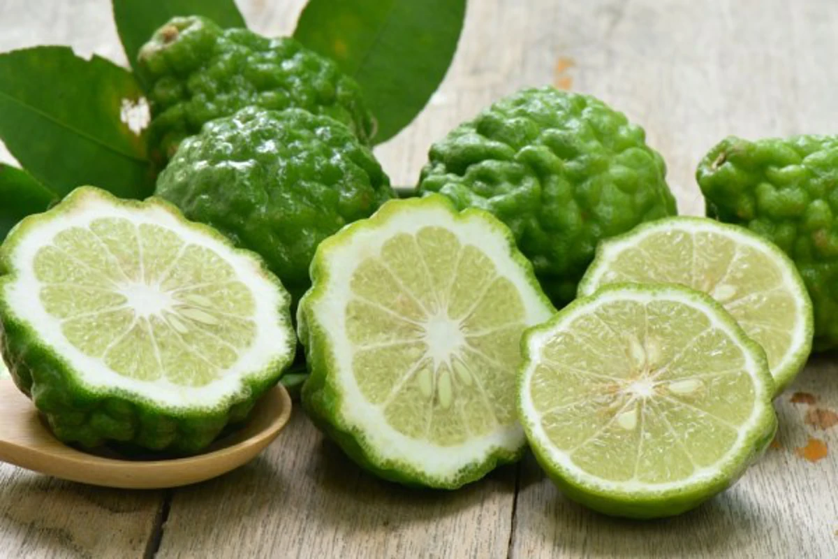 ผมเสียเปลี่ยนเป็นผมสวย!!!! สไตล์สาวผมสุขภาพดี ด้วย 10 สูตรเด็ดจากธรรมชาติ ไม่ลองแล้วจะเสียใจ!!!