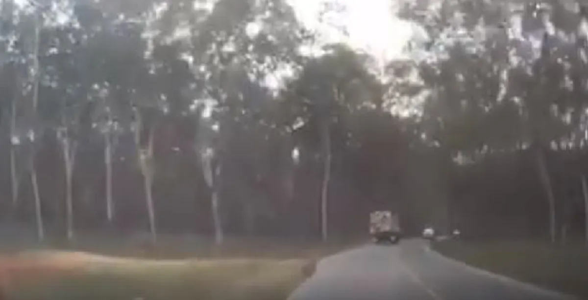 จุดจบสายซิ่ง !!! ดูไว้...สายโหดใส่เต็มทุกโค้งเหยียบไม่ยั้งสุดท้ายอนาถ แหกโค้งคว่ำ เสียงหวีดลั่นถนน ! (มีคลิป)