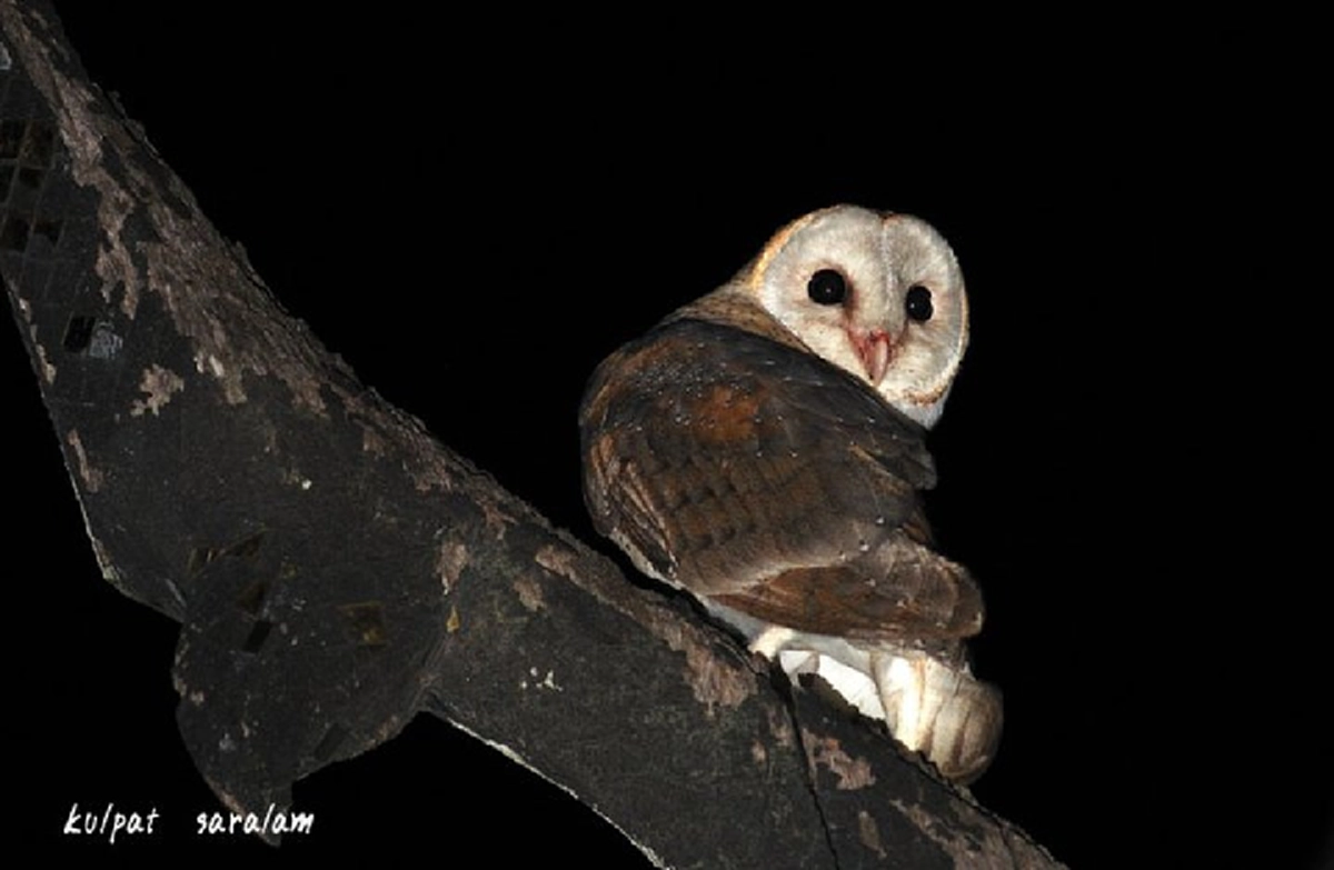 ไม่อ่านถือว่าพลาด!! 9 ความเชื่อโบราณ อย่าพลาดทำเด็ดขาด ไม่เช่นนั้นชีวิตอาจตกต่ำหรือไม่เจริญก้าวหน้า สิ่งอัปมงคลตามติดชีวิต!!