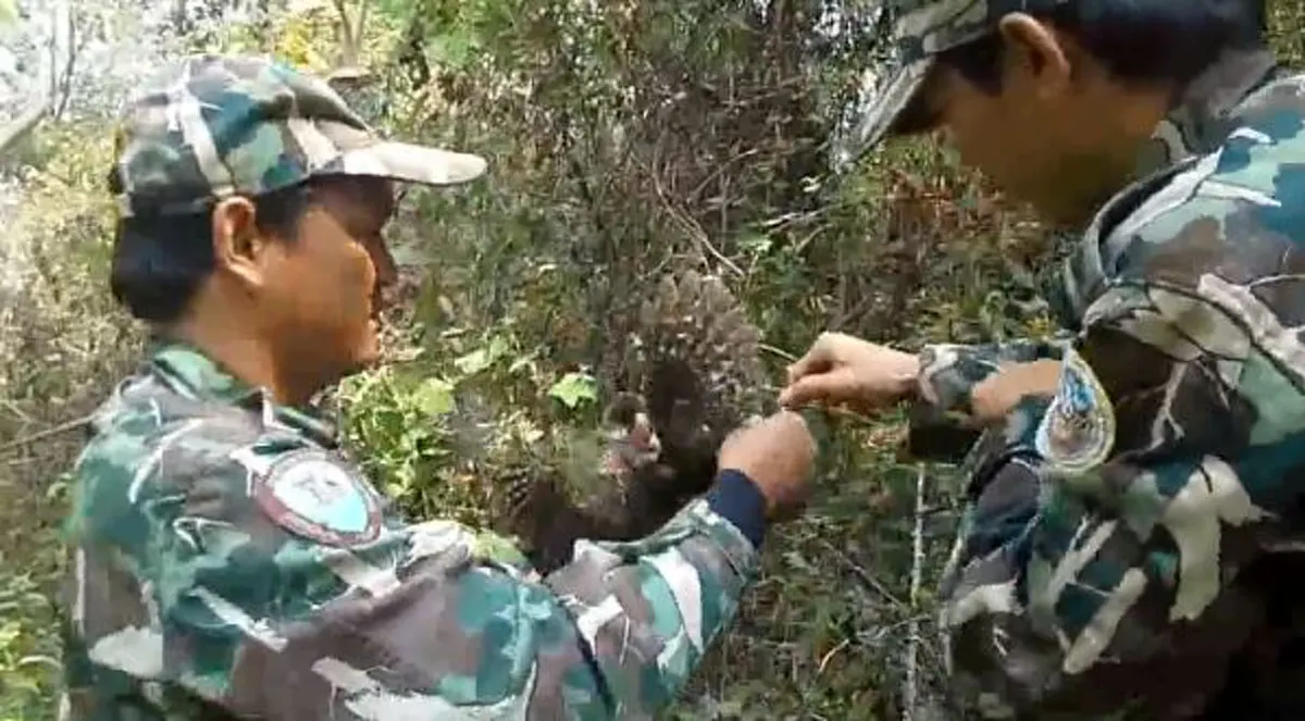 เจ้าหน้าที่พิทักษ์ป่า!!! วีระบุรุษแห่งท้องทุ่ง กับการช่วยชีวิตสัตว์โลก งานนี้ลั่นชัด ทำตรงข้ามกับเปรมชัย (ชมคลิป)