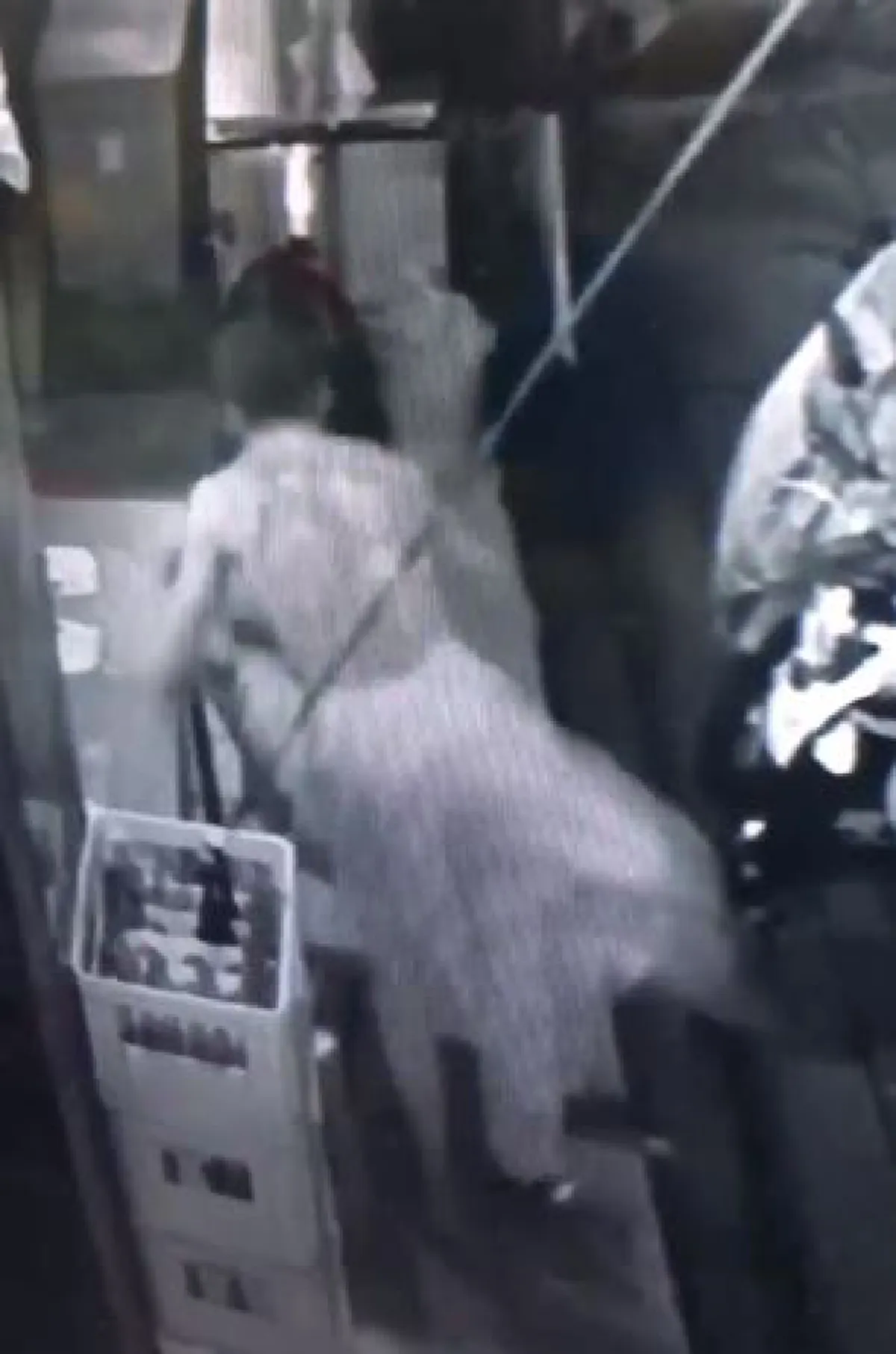 นรกส่งมาเกิด !! ...โผล่อีก "เดนมนุษย์ต่อยคนแก่" รัวหมัด-ฟันศอกจนล้มพับ ประวัติโชกโชนแถมเป็นหลานเจ้าอาวาส! (มีคลิป)