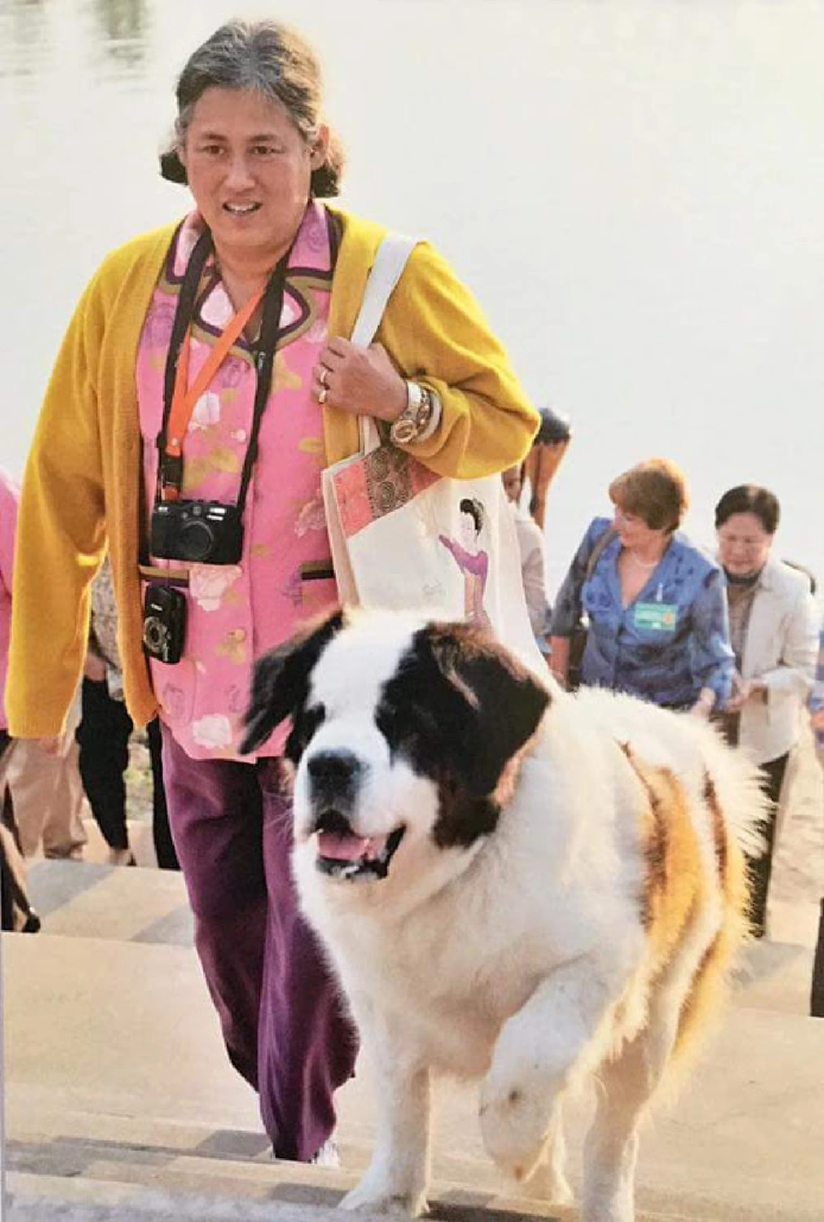 “คุณแป๊ะฮวยอิ้ว” สุนัขทรงเลี้ยงฉลาดและแสนรู้ที่ในหลวงรัชกาลที่๙ พระราชทานให้ สมเด็จพระเทพฯ กับที่มาโครงการ “แป๊ะฮวย…ช่วยเพื่อน” (รายละเอียด)