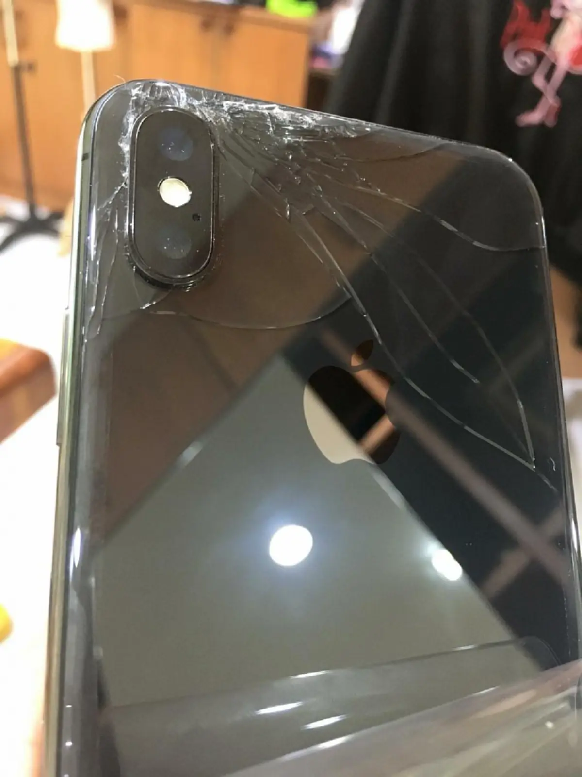 สาวถูกหมากัดล้ม มือถือพัง เจ้าของตอกหน้ามัวแต่เดินคุยโทรศัพท์ อยากได้ค่าเสียหายให้ไปฟ้องเอา สุดท้ายชนะคดีได้เงิน 1 แสน!