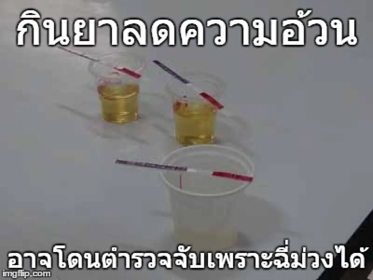เสี่ยงมากๆ!!?? รู้หรือไม่...กินยาลดความอ้วน อาจโดนจับ เพราะฉี่ม่วงได้ กินมากๆบอกเลยไม่ตายก็อาจกลายเป็นโรคทางจิตเวช!!!(รายละเอียด)
