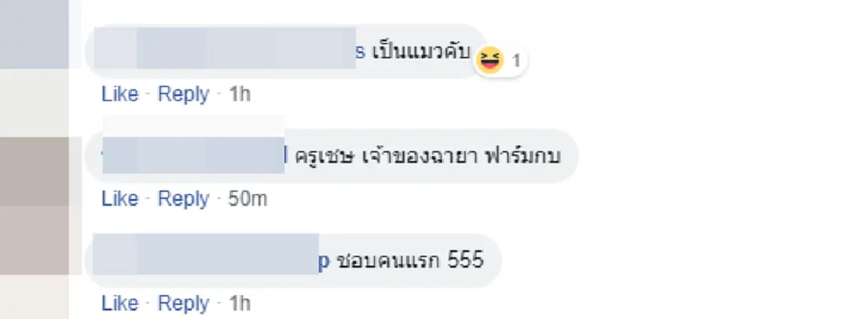 ความคิดเห็น