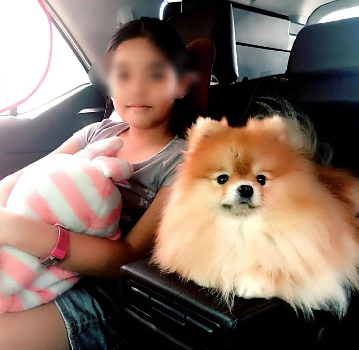 เศร้าน้ำตาซึม เพื่อนบ้านเล่าเหตุไฟไหม้บ้านเปิดรักษาสัตว์ วินาที 2 ลูกสาวเสียชีวิต (คลิป)