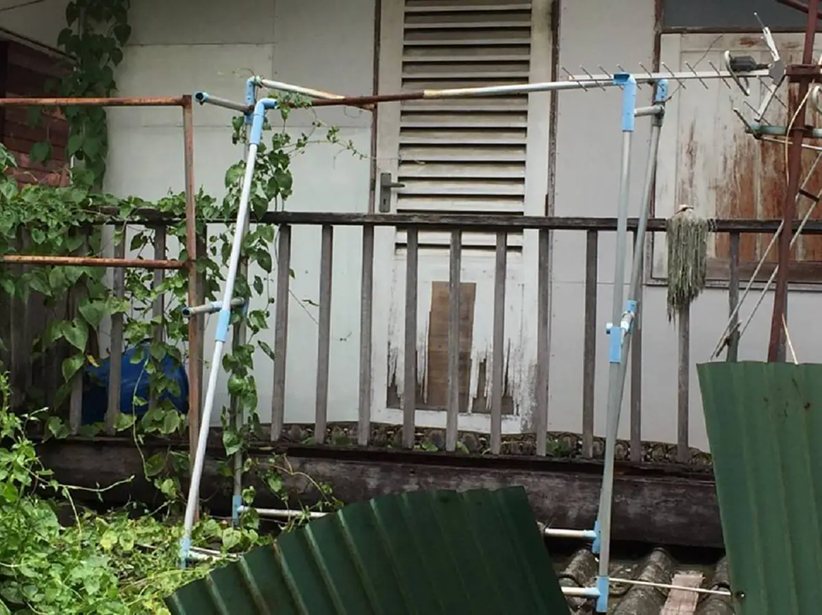 สุดปวดใจ "งูเหลือมยาว5เมตร" เขมือบเเมวตายต่อหน้าต่อตา (คลิป)