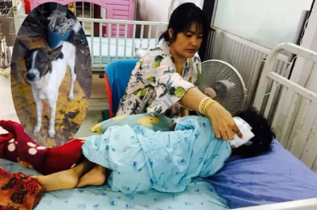 บ่อยเกินไปแล้ว ด.ญ.วัยแค่ 4 ขวบเดินตามยายทวดไปเก็บผัก โดนหมาบางแก้วกระโจนกัดเจ็บสาหัส