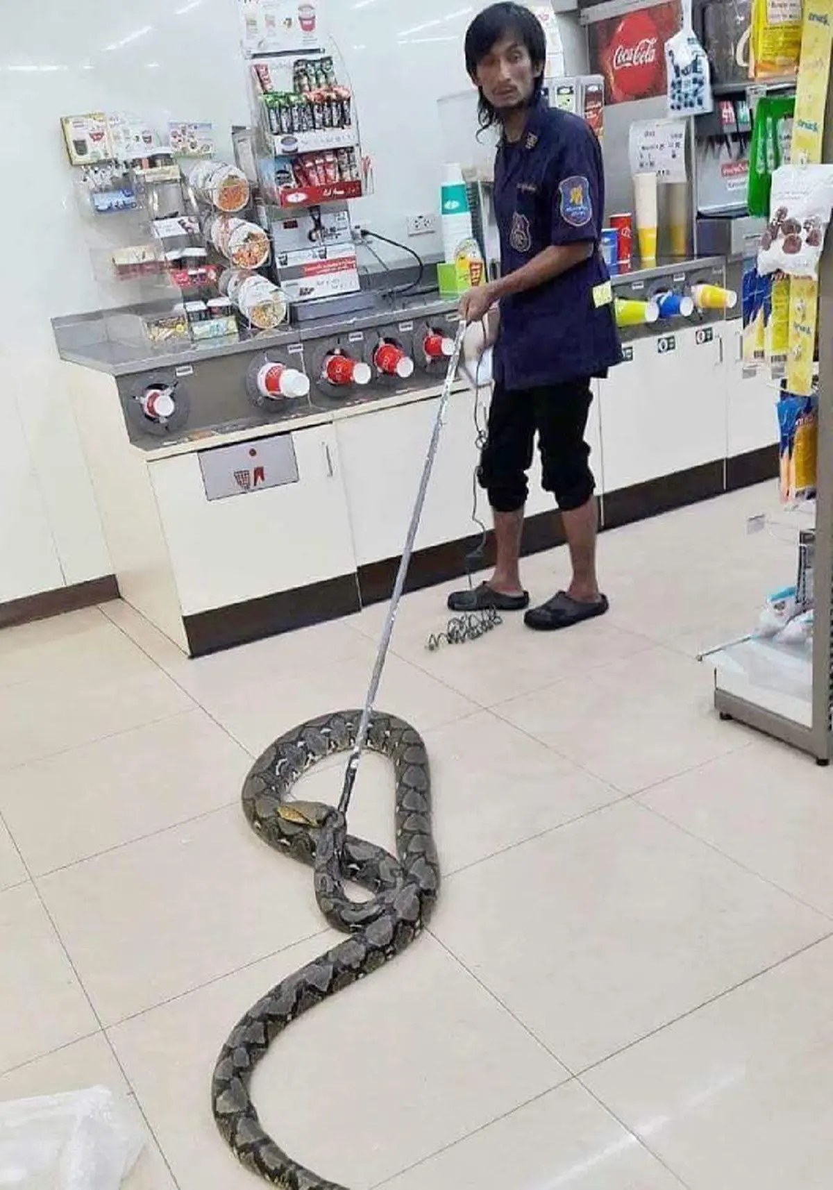 คอหวยมารวมกันตรงนี้ เปิดรหัสร้านสะดวกซื้อ เจอ"เจ้างูเหลือมยักษ์"บุก!! รีบส่องกันเลย พรุ่งนี้รวย รับทรัพย์ถ้วนหน้า!! (คลิป)