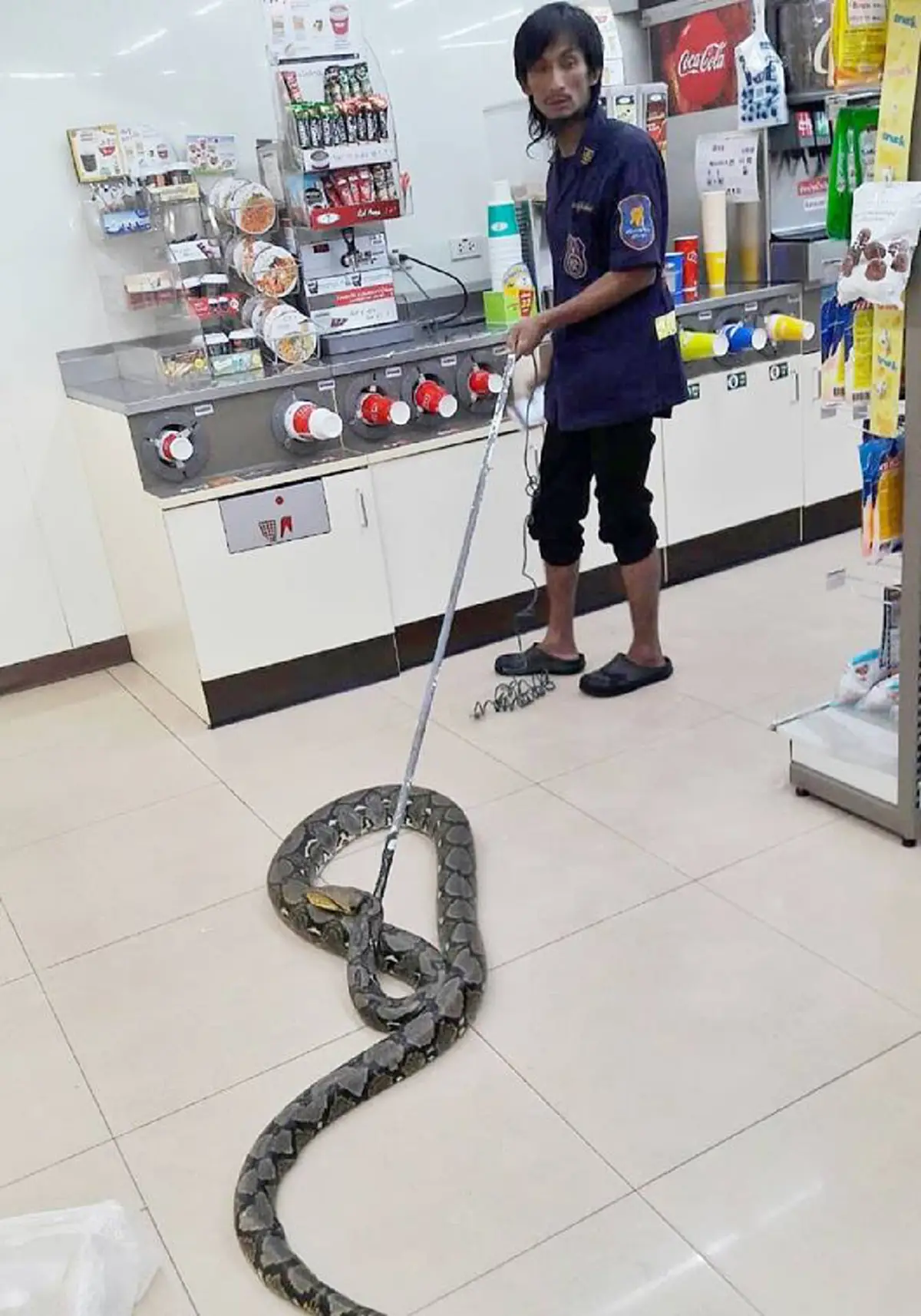 หิวเมื่อไหร่ก็แวะมา ผงะ"งูเหลือมตัวเขื่อง"เลื้อยโผล่ นอนรับแอร์กลางร้านสะดวกซื้อ