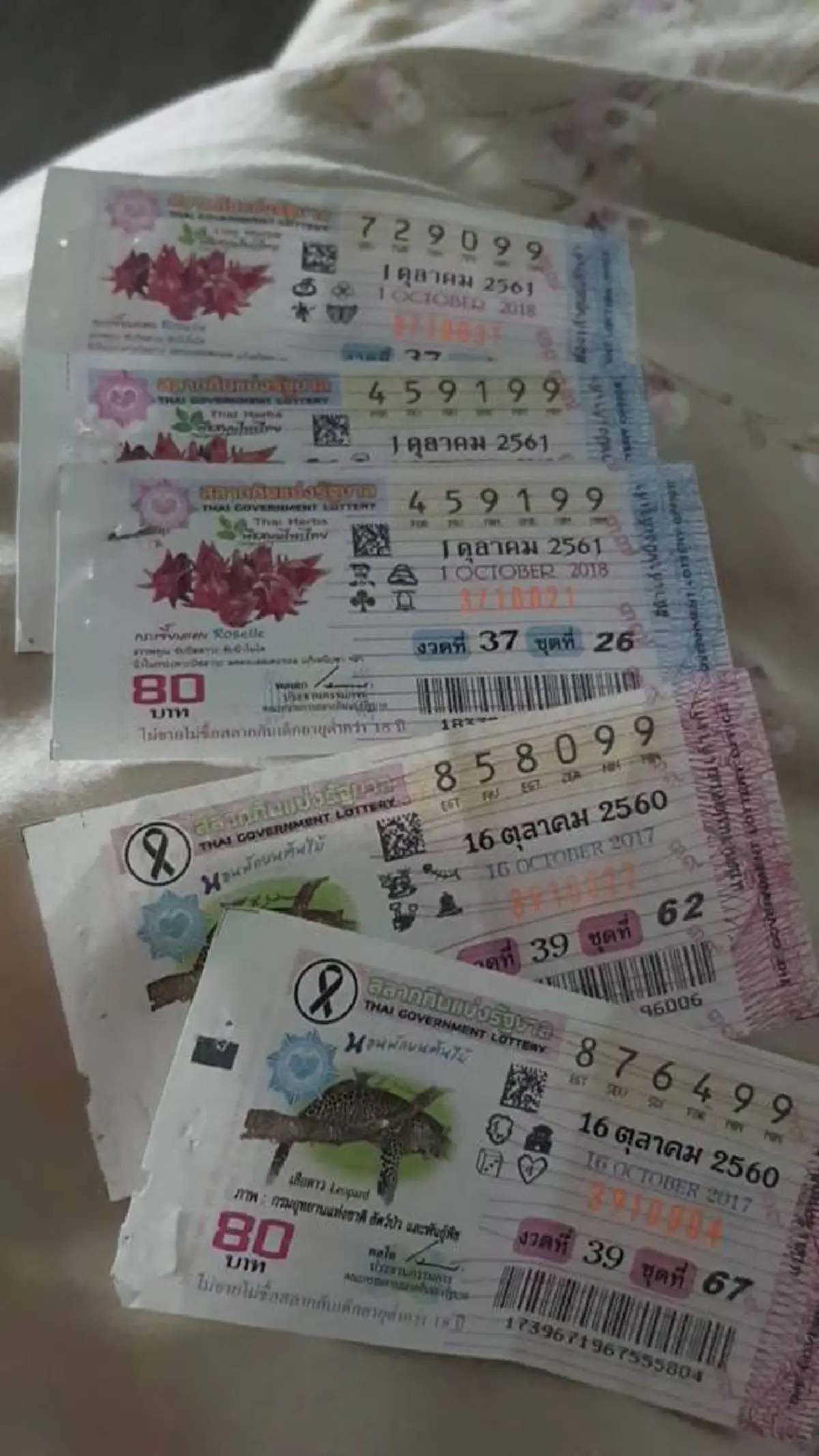 อุทาหรณ์นักเสี่ยงโชค สาวช้ำใจถูกลอตเตอรี่ 5 ใบ แต่ขึ้นเงินจริงได้ไม่ครบ?