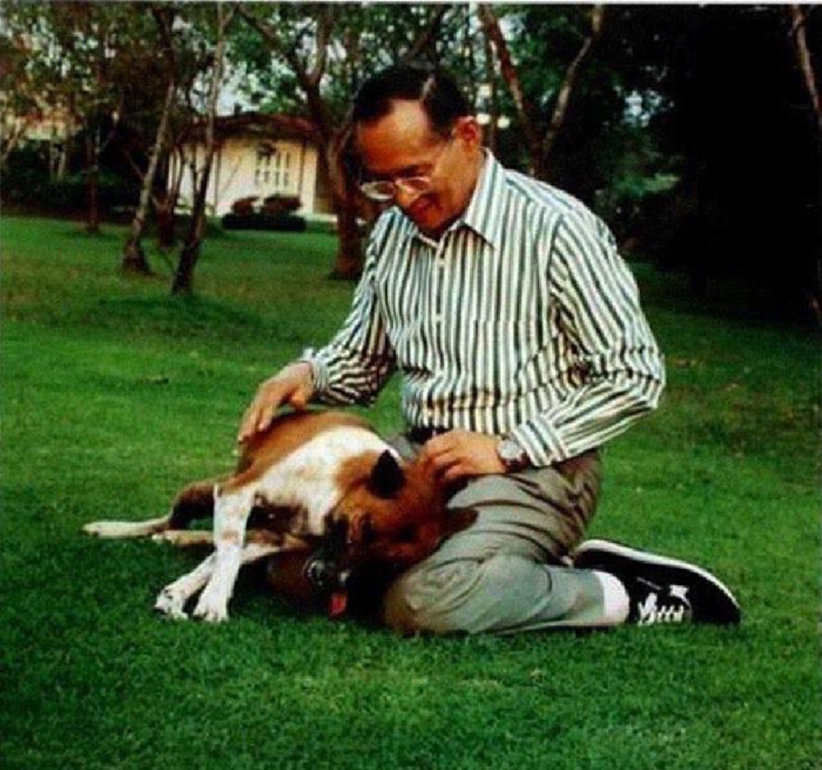 เชื่อว่า...ไม่มีใครเคยรู้มาก่อน !!! "คุณทองแดง" สุนัขทรงเลี้ยงทรงอิทธิพล ที่สร้างประโยชน์ และ โครงการดีๆให้สังคมมากมาย !!! #ปิดทองหลังพระ