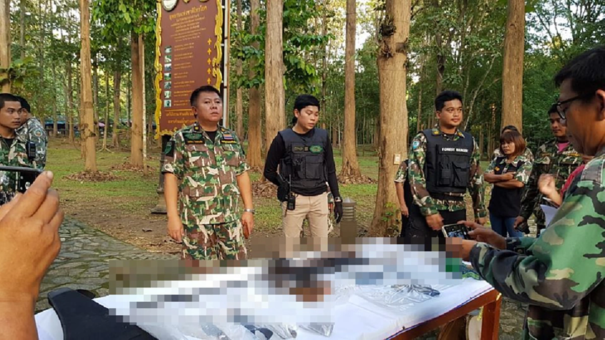 เปิดภาพล่าสุด! ปลัดอำเภอพาอส.ขนปืนไล่ล่าสัตว์ป่าไทรโยคของกลางอื้อ