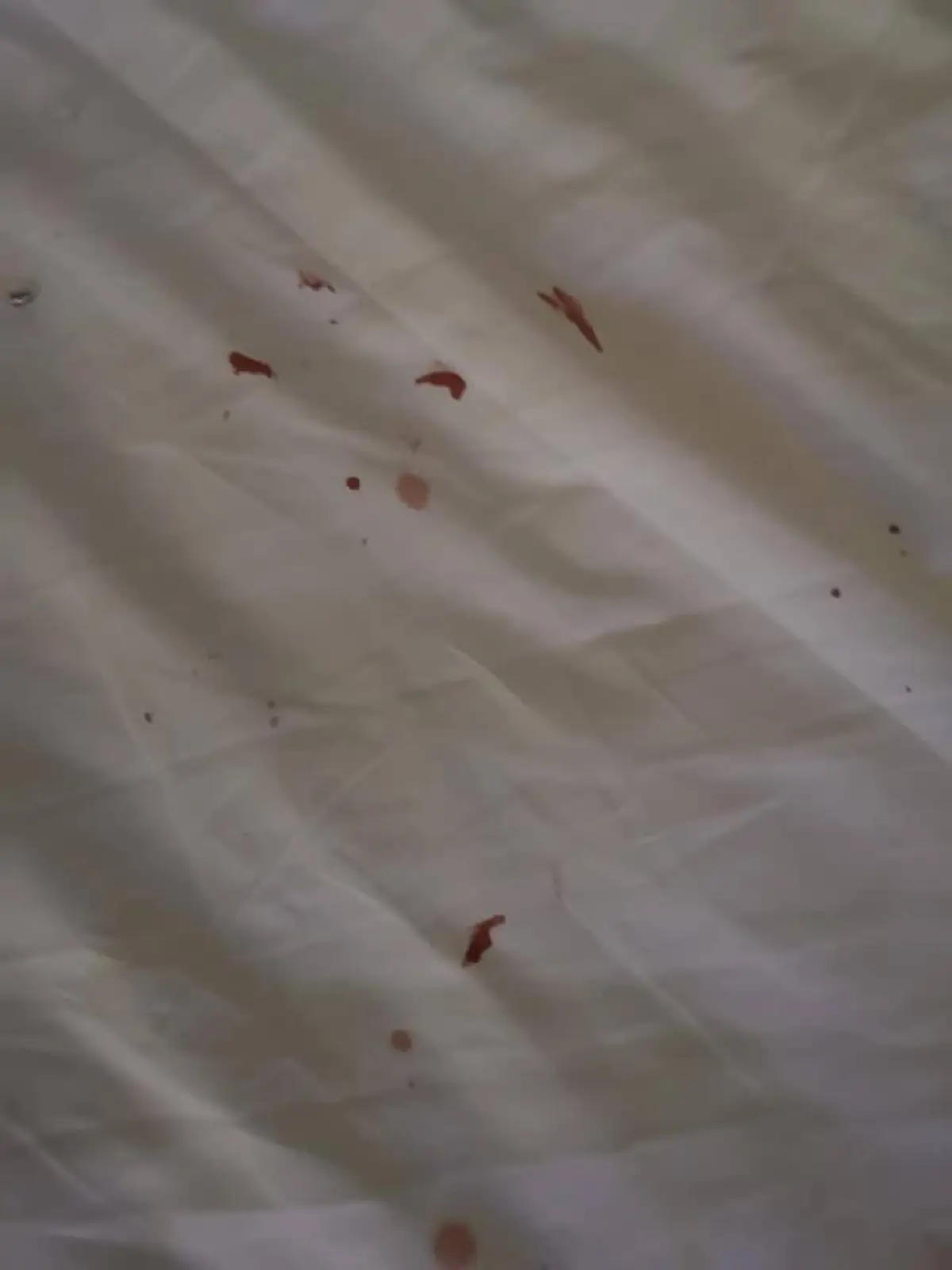 เพื่อนรักเพื่อนร้าย"น้ำเพชร ฏีญาร์ภา"ตบกันแหลกกับ"มะยม แม็กซิม"ที่ผับมาเก๊า